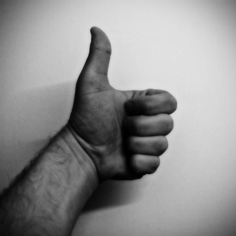 365 Shot 51
